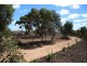 Lot 9 Dollard Avenue, Mannum SA 5238