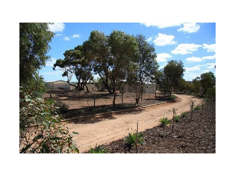 Lot 9 Dollard Avenue, Mannum SA 5238