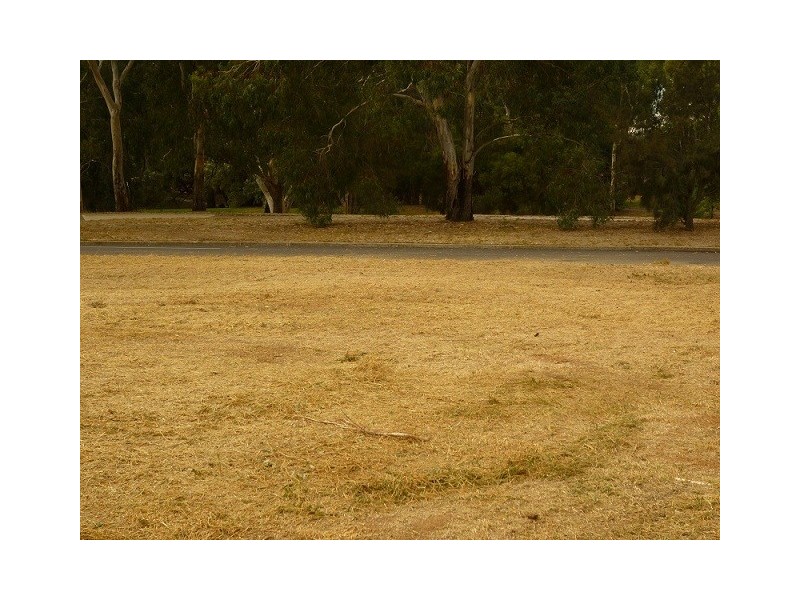 34 Riverview Drive, Paradise SA 5075