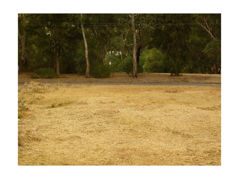 34 Riverview Drive, Paradise SA 5075