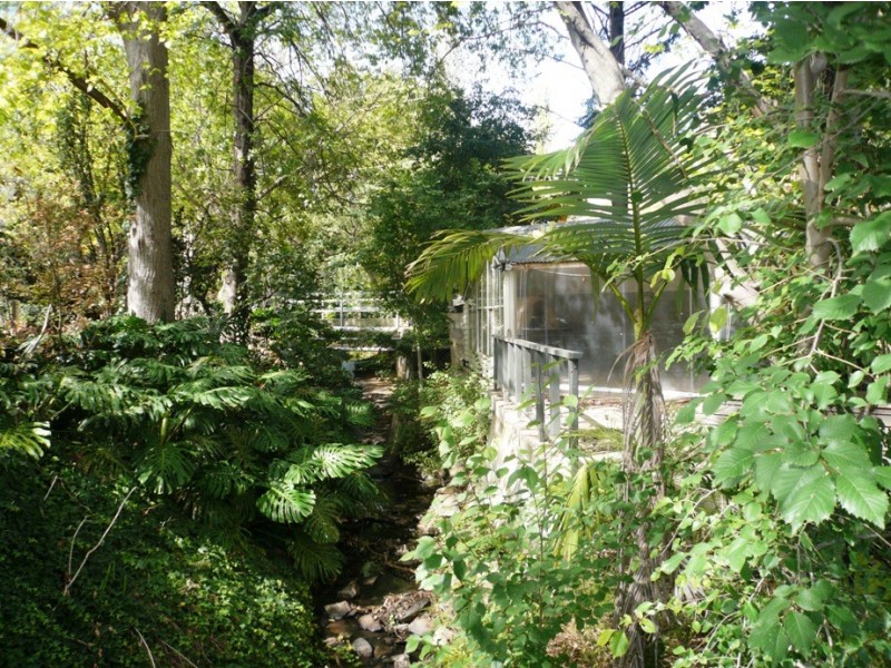 15A McAllan Avenue, Burnside SA 5066