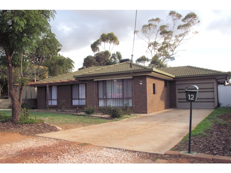 12 Theodore Street, Evanston Park SA 5116