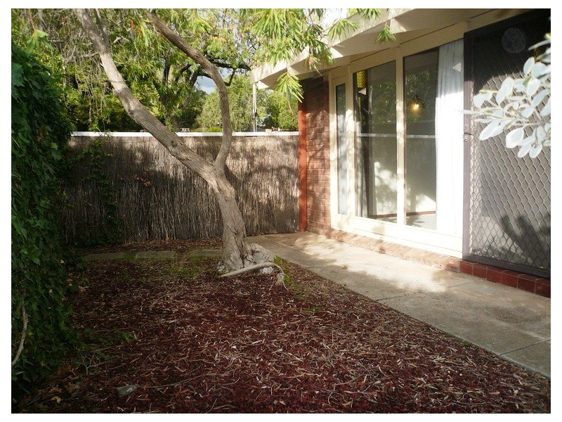 5/16 Alpha Street, Kensington Park SA 5068