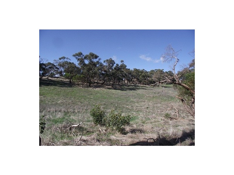 Lot 1 Leighton Road (Spring Gully), Clare SA 5453