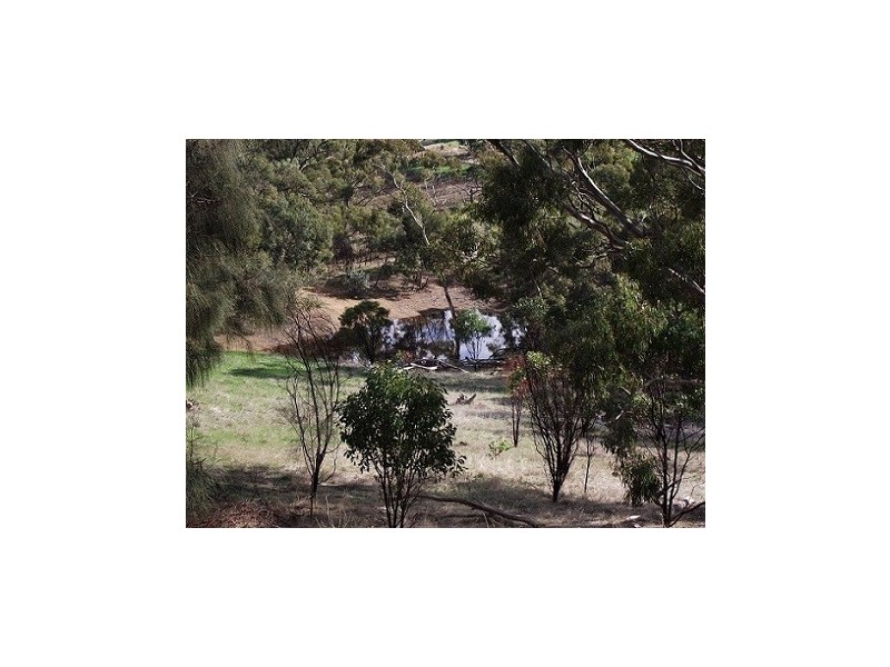 Lot 1 Leighton Road (Spring Gully), Clare SA 5453
