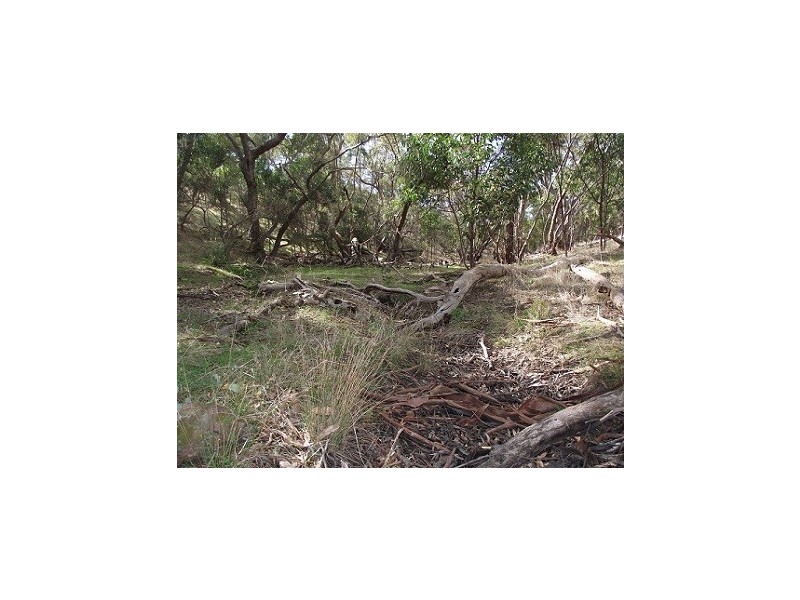 Lot 1 Leighton Road (Spring Gully), Clare SA 5453