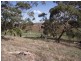 Lot 1 Leighton Road (Spring Gully), Clare SA 5453