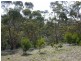 Lot 1 Leighton Road (Spring Gully), Clare SA 5453