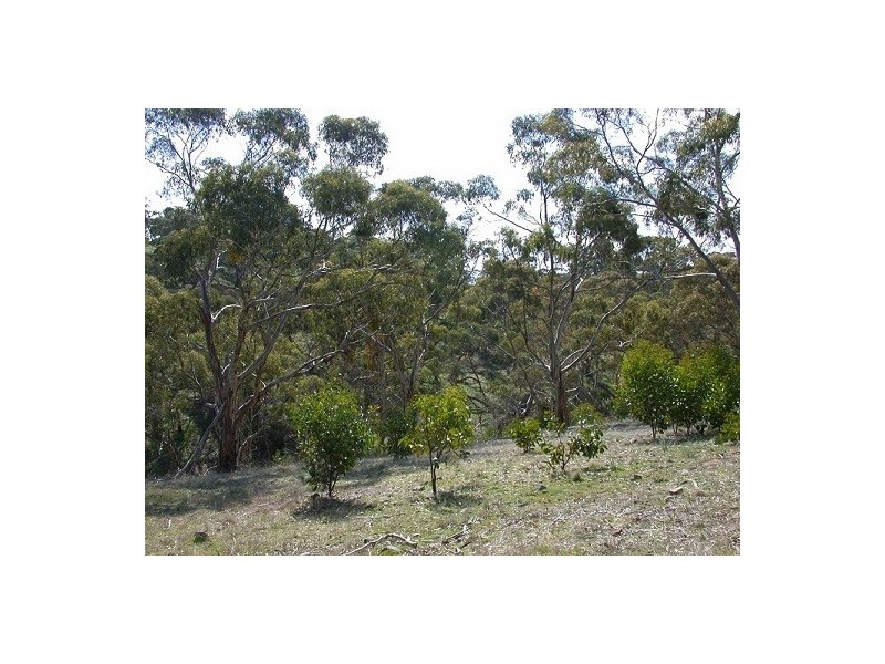 Lot 1 Leighton Road (Spring Gully), Clare SA 5453