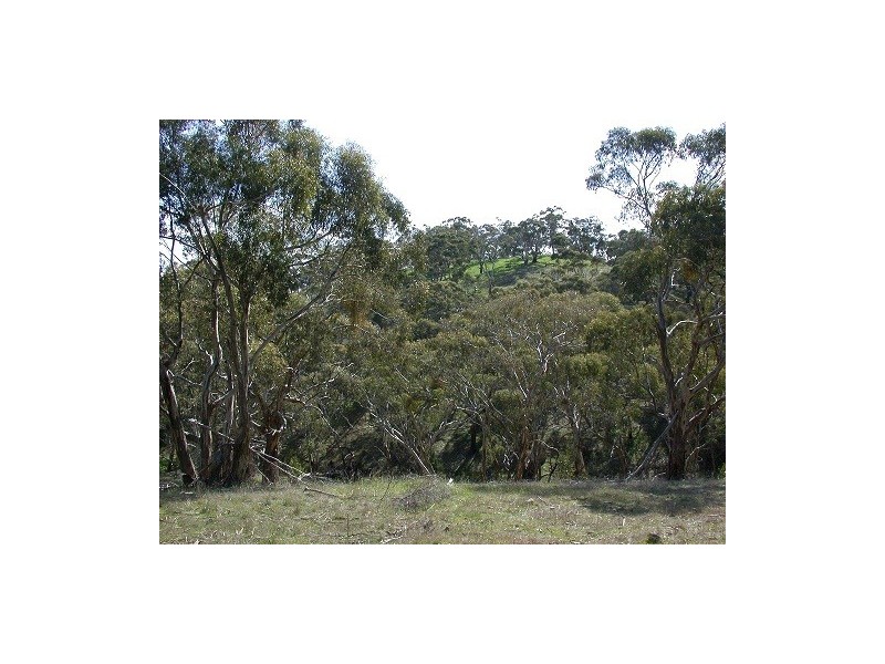 Lot 1 Leighton Road (Spring Gully), Clare SA 5453