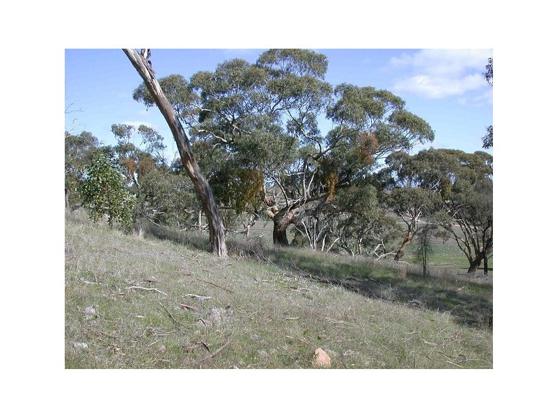 Lot 1 Leighton Road (Spring Gully), Clare SA 5453