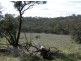 Lot 1 Leighton Road (Spring Gully), Clare SA 5453