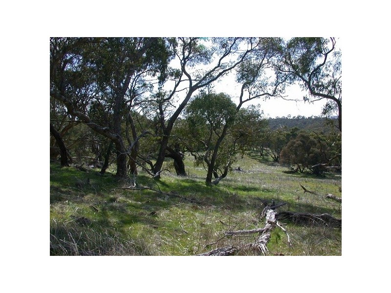 Lot 1 Leighton Road (Spring Gully), Clare SA 5453