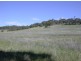 Lot 1 Leighton Road (Spring Gully), Clare SA 5453