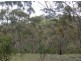 Lot 1 Leighton Road (Spring Gully), Clare SA 5453