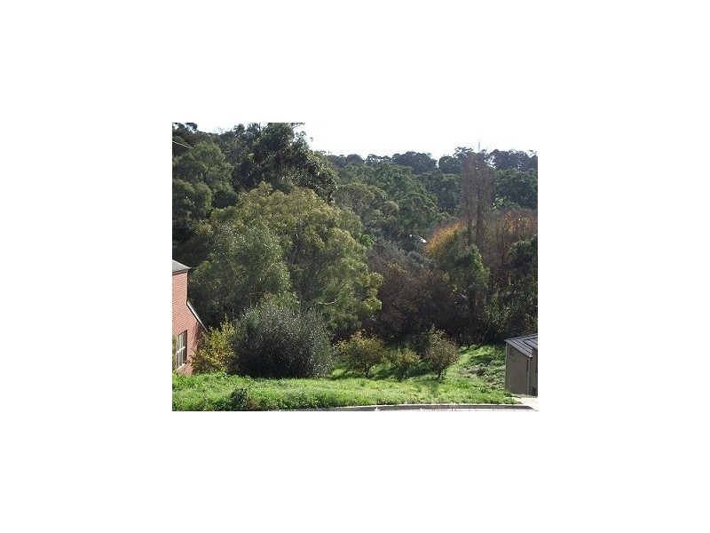 30 Apple Grove, Coromandel Valley SA 5051