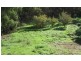 30 Apple Grove, Coromandel Valley SA 5051
