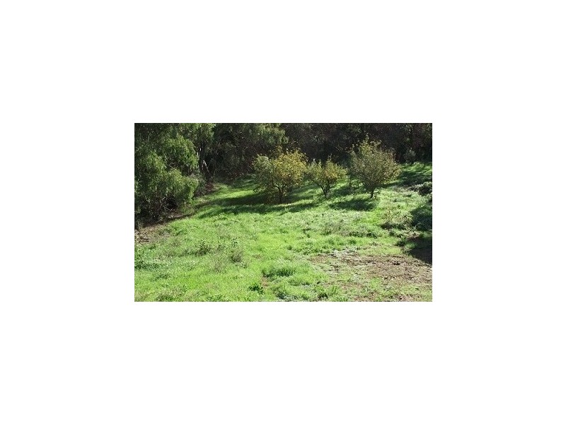 30 Apple Grove, Coromandel Valley SA 5051