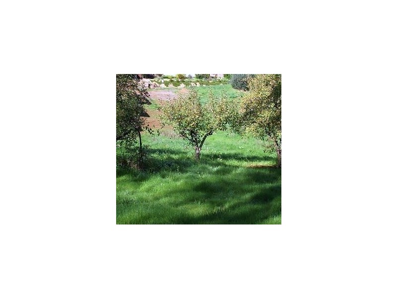 30 Apple Grove, Coromandel Valley SA 5051