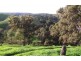 Lot 672 Starrs Gully Road, Yattalunga SA 5114
