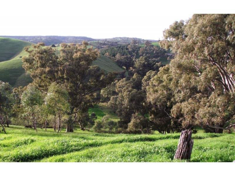 Lot 672 Starrs Gully Road, Yattalunga SA 5114