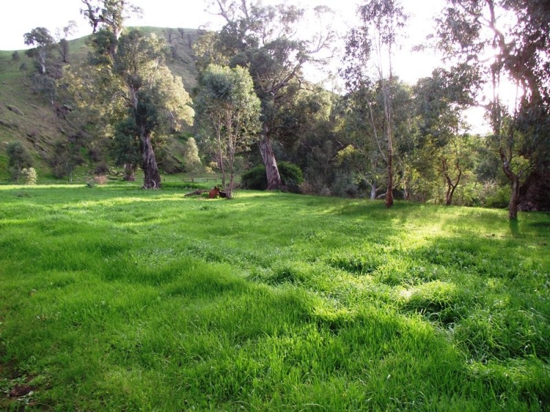 Lot 672 Starrs Gully Road, Yattalunga SA 5114