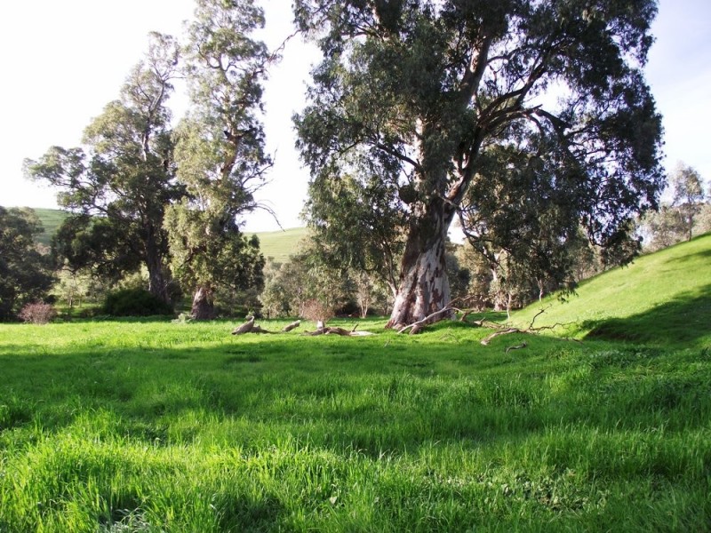 Lot 672 Starrs Gully Road, Yattalunga SA 5114