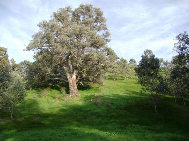 Lot 672 Starrs Gully Road, Yattalunga SA 5114