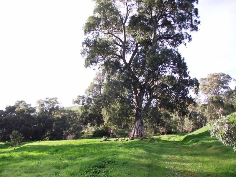 Lot 672 Starrs Gully Road, Yattalunga SA 5114