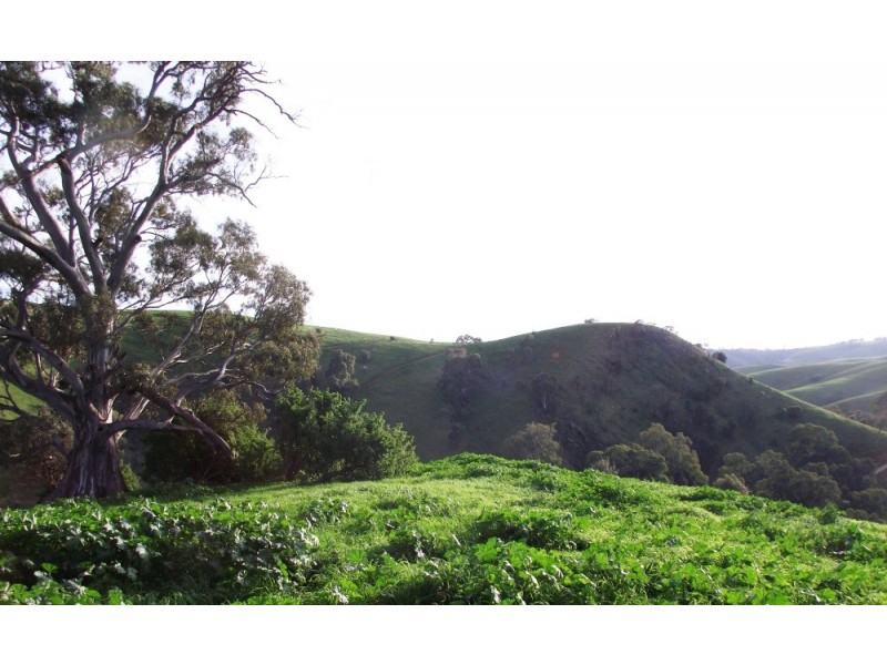 Lot 672 Starrs Gully Road, Yattalunga SA 5114