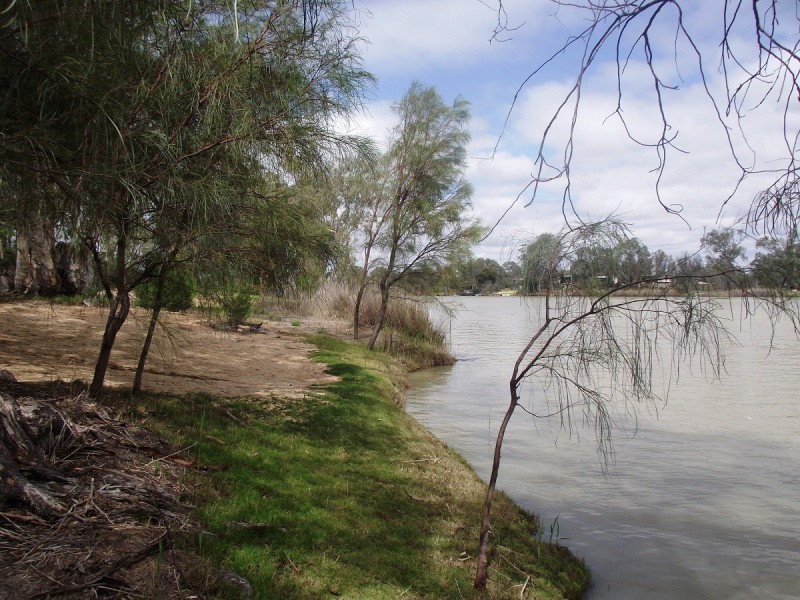 34 Echidna Avenue (Idyll Acres), Morgan SA 5320