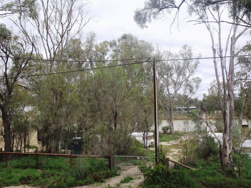 34 Echidna Avenue (Idyll Acres), Morgan SA 5320