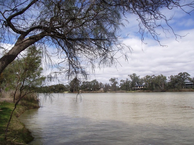 34 Echidna Avenue (Idyll Acres), Morgan SA 5320