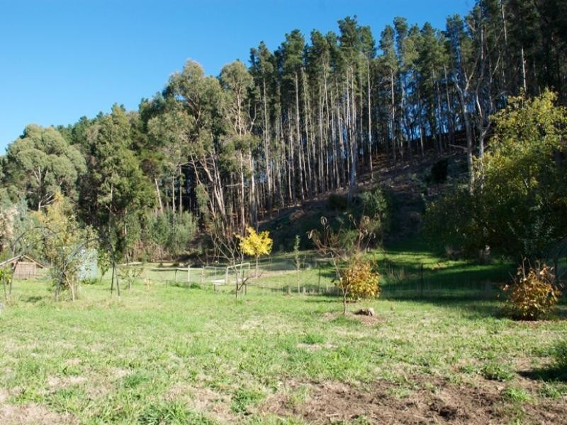 45A Whitewood Drive, Upper Sturt SA 5156