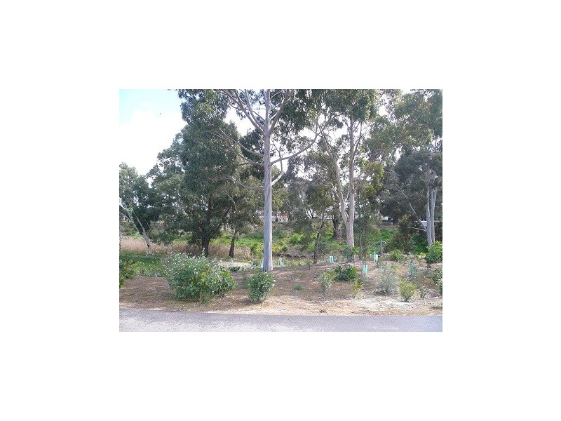 Lot 99 Styles Place, Underdale SA 5032