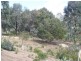 Lot 99 Styles Place, Underdale SA 5032
