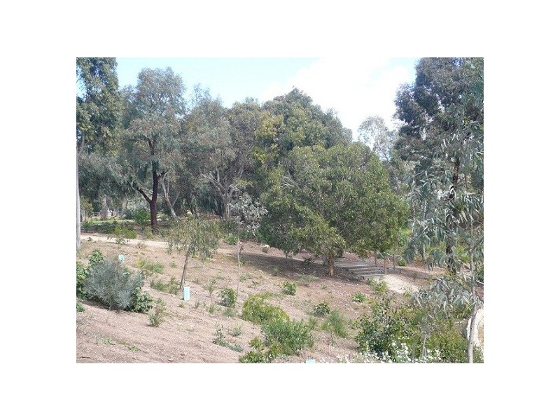 Lot 99 Styles Place, Underdale SA 5032