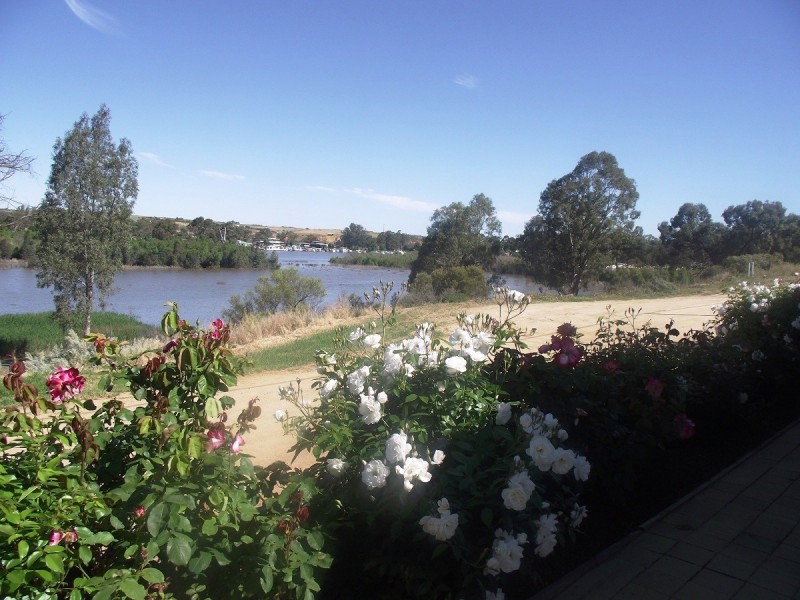 31 Purnong Road, Mannum SA 5238