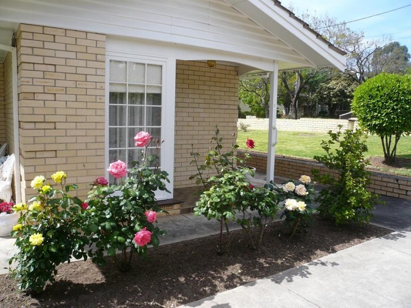 1/15 Brigalow Avenue, Kensington Gardens SA 5068