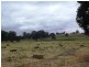 Lot 50 Craneford Road, Eden Valley SA 5235