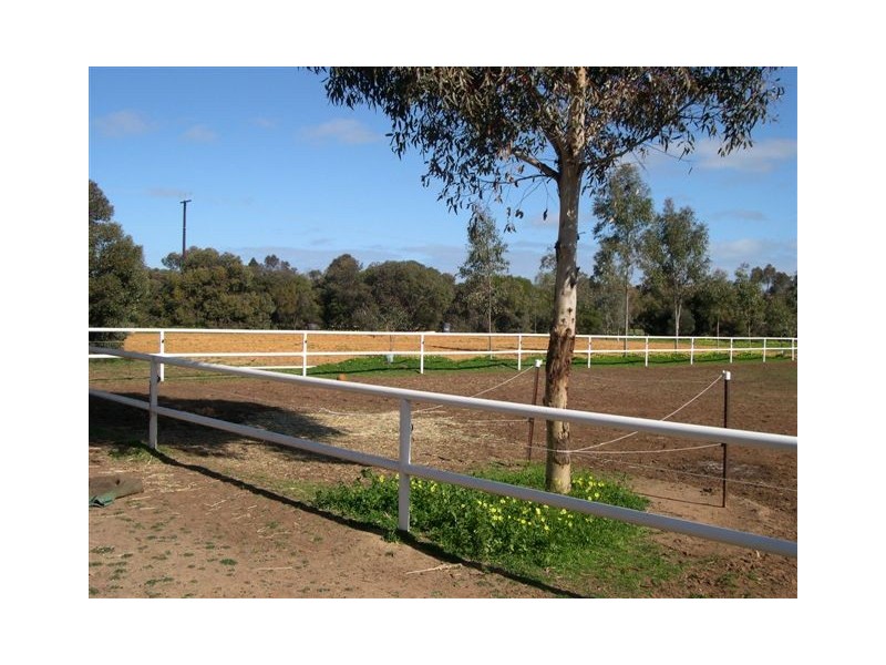 2 Louisa Road, Lewiston SA 5501