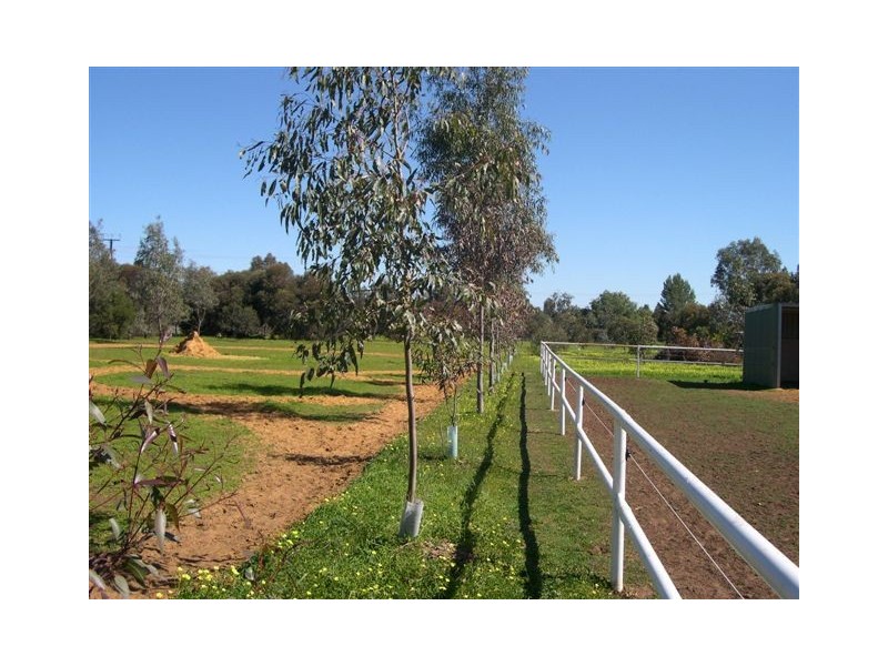 2 Louisa Road, Lewiston SA 5501