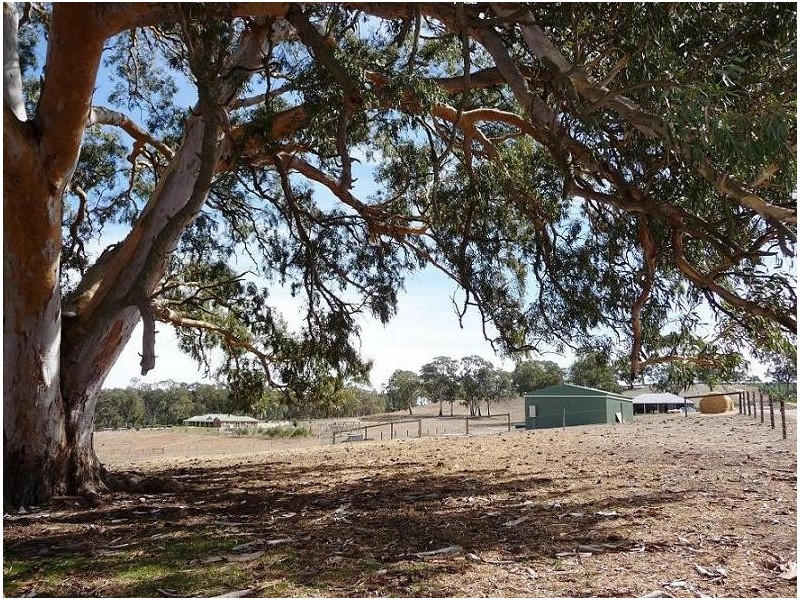 Lot 2 Muellers Road, Birdwood SA 5234