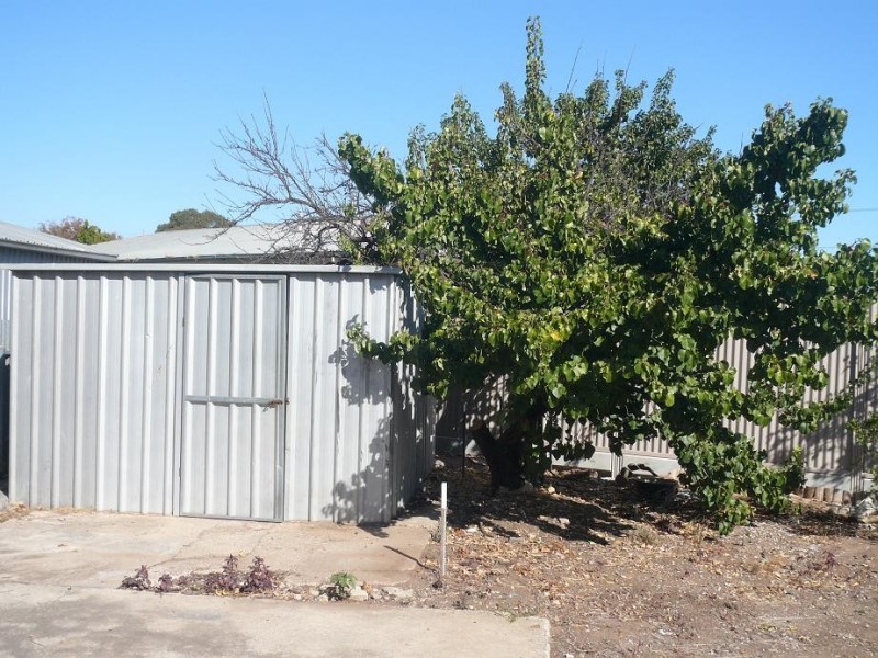 59 Dudley Street, Mansfield Park SA 5012