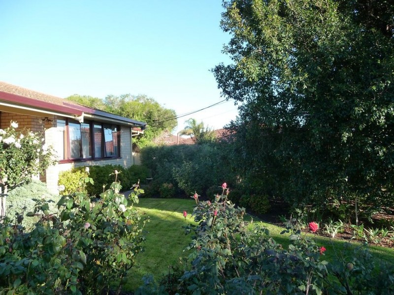 4 Ozone Ct, Paradise SA 5075