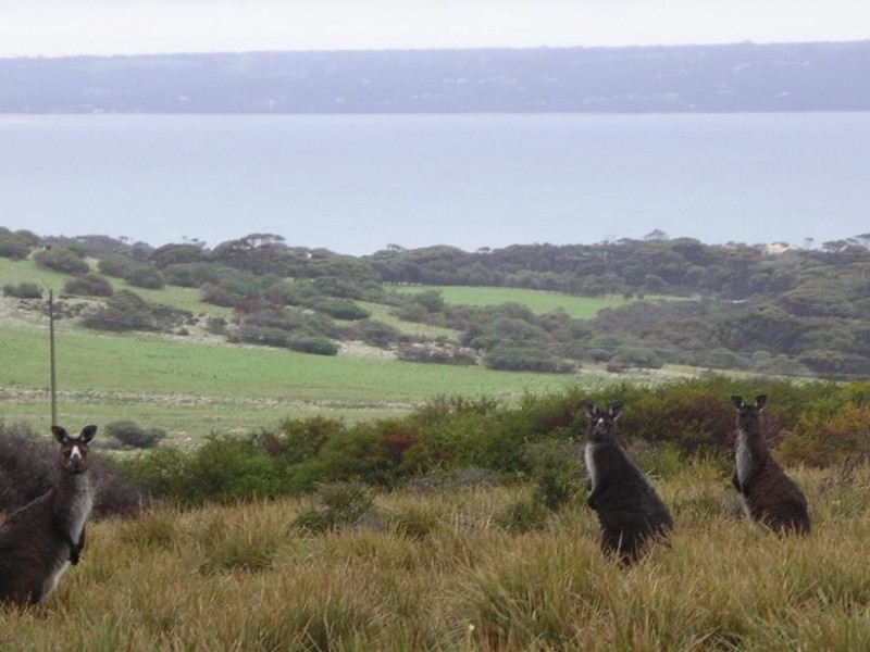 Lot 500 Doug Road, Penneshaw SA 5222