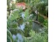 St Leonards NSW 2065