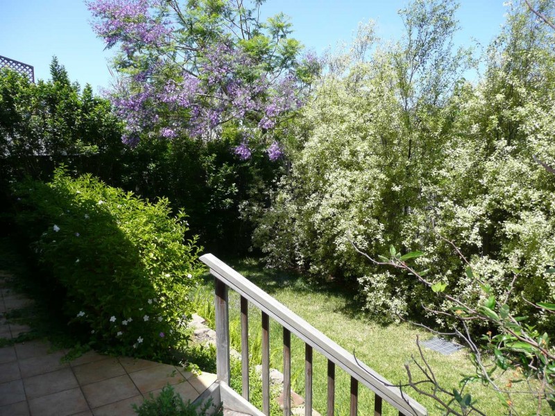 67 Carabella Street, Kirribilli NSW 2061