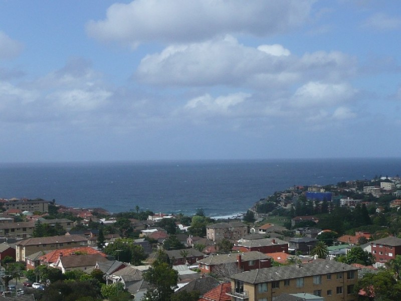 205 Birrell, Bondi NSW 2026
