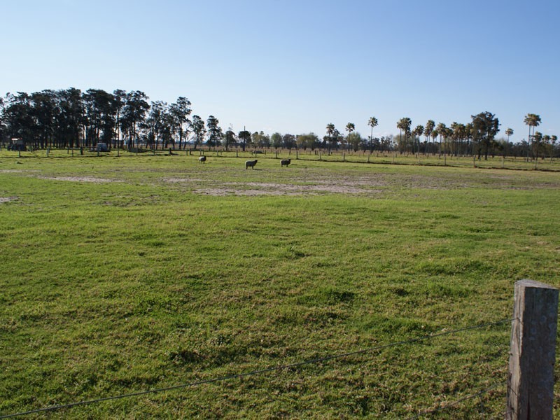 387 Fullerton Cove Road, Fullerton Cove NSW 2318